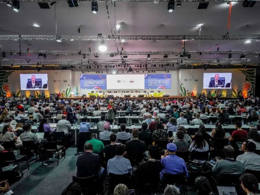 COP30闭幕:适应资金获突破,化石燃料淘汰路径仍悬空